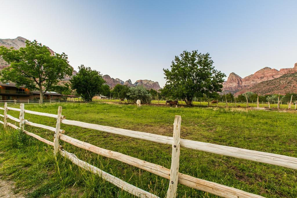 Driftwood Lodge Спрингдейл Екстер'єр фото